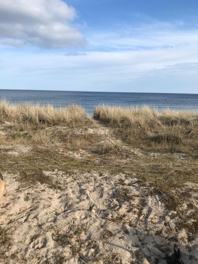 Havsnaera Paradis Yngsjö المظهر الخارجي الصورة